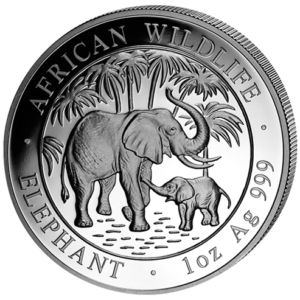 100 Sh Elefant 1 oz Ag 2007