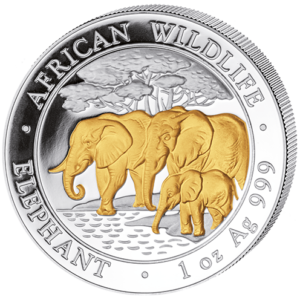 100 Sh Elefant Goldveredelt 2013