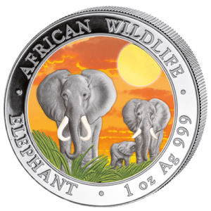 100 Sh Elefant Farbapplikation 2014
