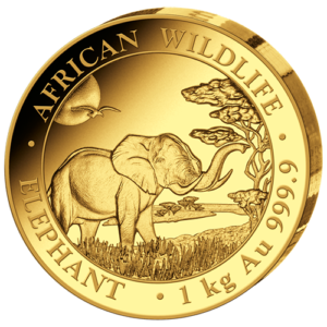 5000 Sh Elefant 1 kg Au 2019