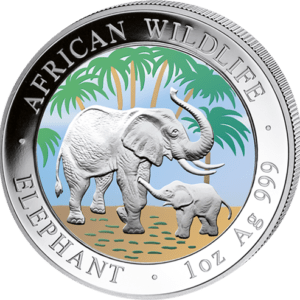 100 Sh Elefant Farbapplikation 2007