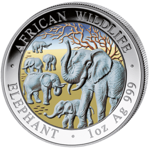 100 Sh Elefant Farbapplikation 2008