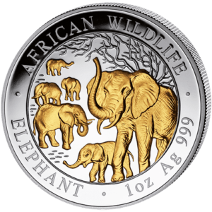 100 Sh Elefant Goldveredelt 2008