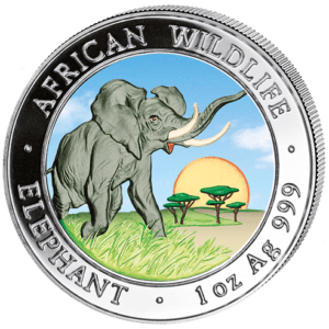 100 Sh Elefant Farbapplikation 2009
