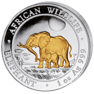 100 Sh Elefant Goldveredelt 2011