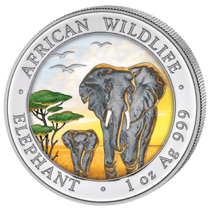 100 Sh Elefant Farbapplikation 2015