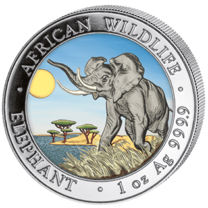 100 Sh Elefant Farbapplikation 2016
