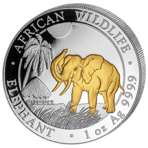 100 Sh Elefant Goldveredelt 2017
