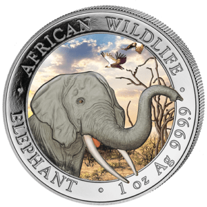 100 Sh Elefant Farbapplikation 2018