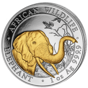 100 Sh Elefant Goldveredelt 2018
