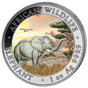 100 Sh Elefant Farbapplikation 2019
