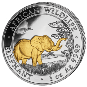 100 Sh Elefant Goldveredelt 2019