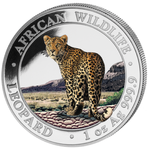 100 Sh Leopard Farbapplikation 2018