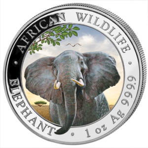 100 Sh Elefant Farbapplikation 2021