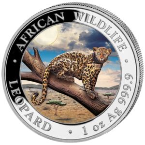 100 Sh Leopard Farbapplikation 2021