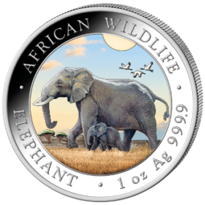 100 Sh Elefant Farbapplikation 2022