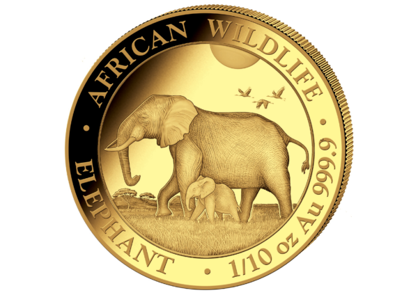 100 Sh Elefant 1/10 oz Au 2022
