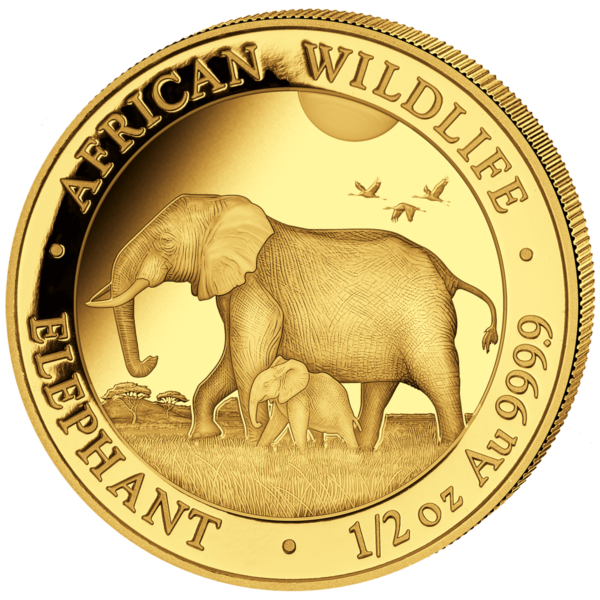 500 Sh Elefant 1/2 oz Au 2022