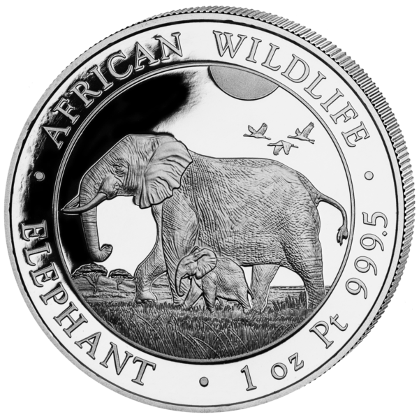 1000 Sh Elefant 1 oz Pt 2024 – Bild 2