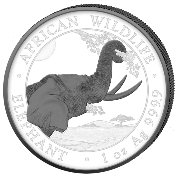 2x100 Sh Elefant Black & White Satz 2023 – Bild 2