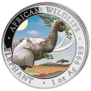 100 Sh Elefant Farbapplikation 2023