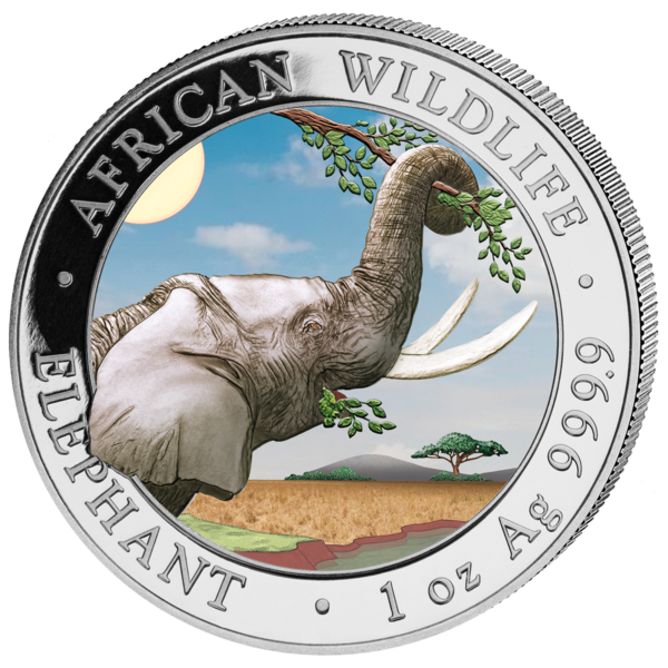 100 Sh Elefant Farbapplikation 2023
