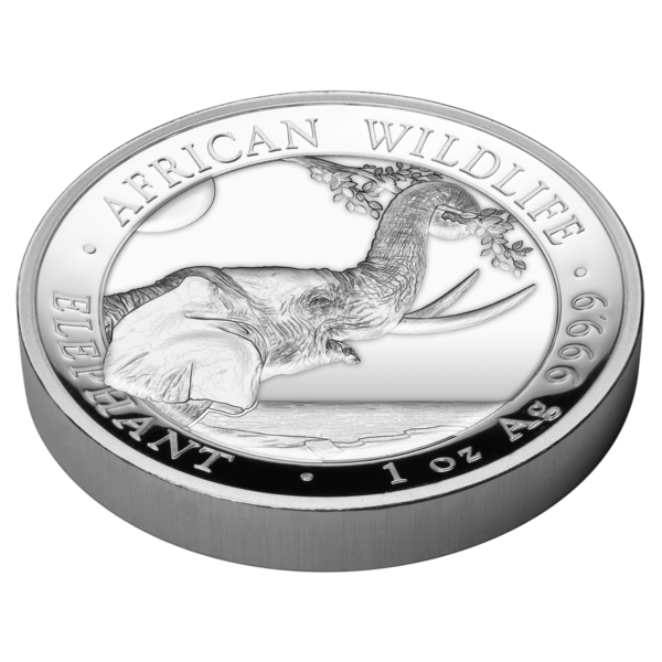 100 Sh Elefant High Relief 2023 – Bild 2