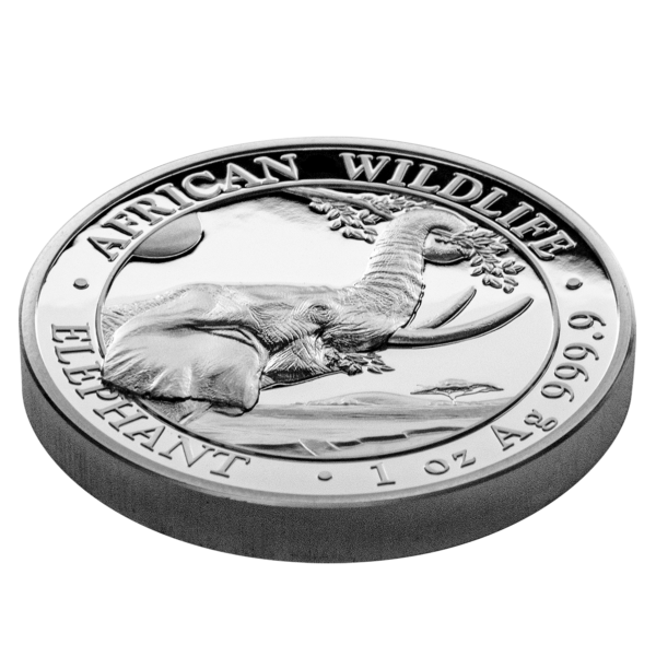 100 Sh Elefant High Relief 2023 – Bild 3