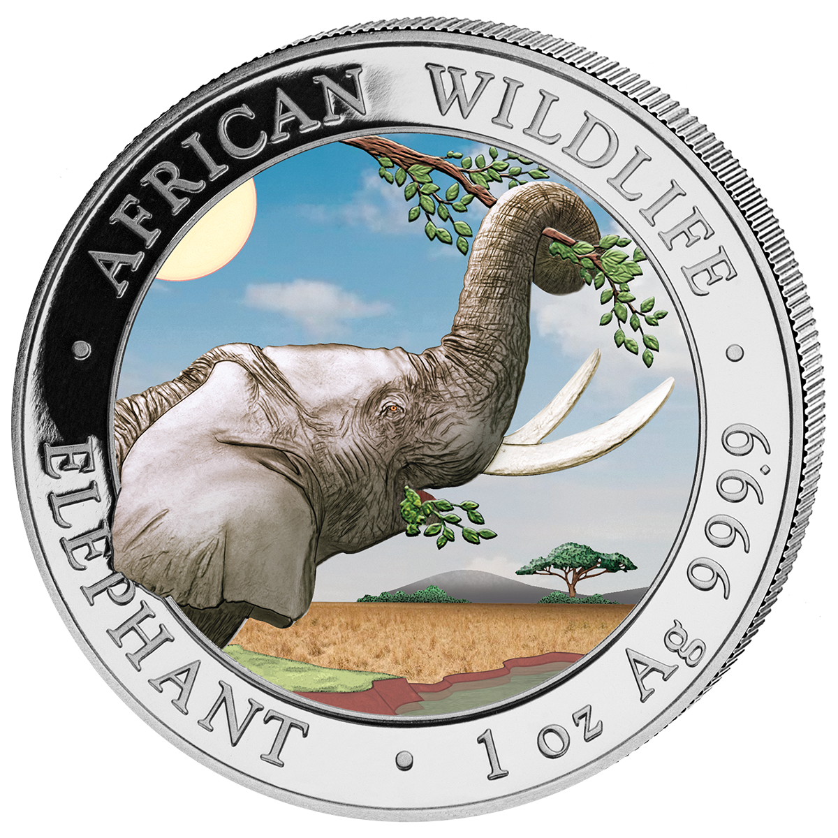 2 x100 Sh Elefant "Tag & Nacht" 2023 – Bild 2