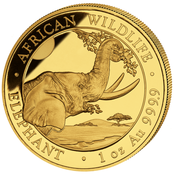 1000 Sh Elefant 1 oz Au 2023
