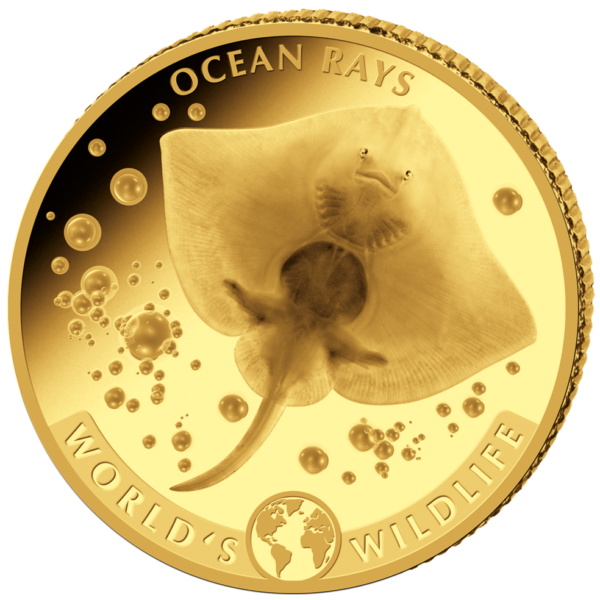 10 Fr Rochen  0,5g 2023