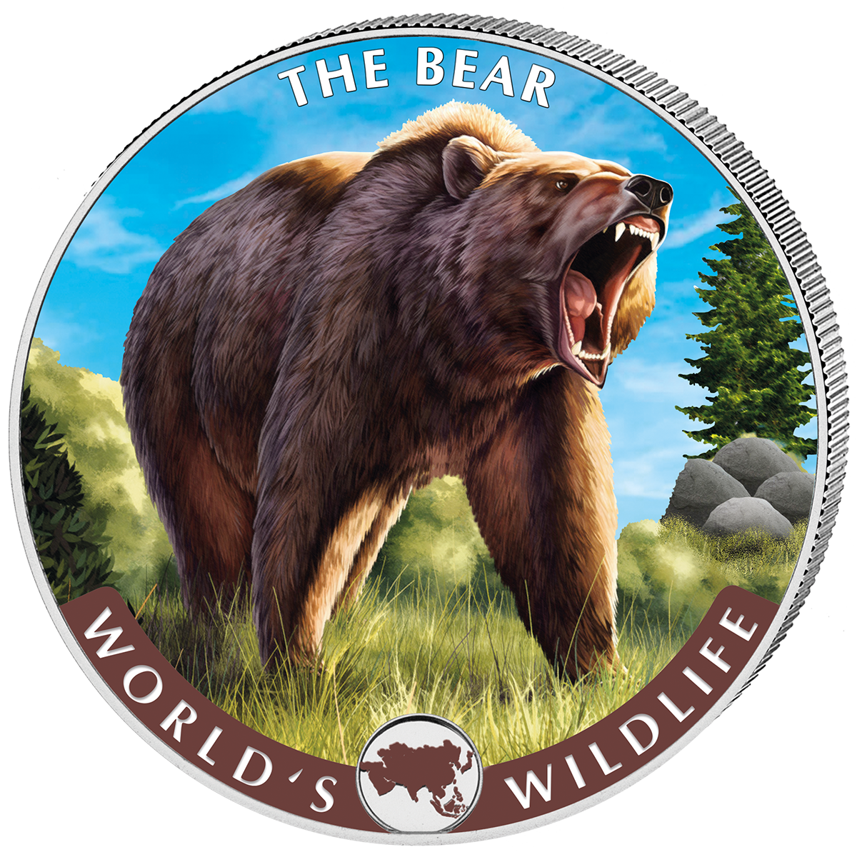 20 Fr Bär Farbapplikation 2022