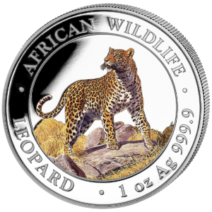 100 Sh Leopard Farbapplikation 2022
