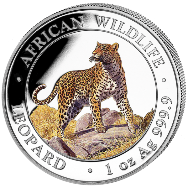 100 Sh Leopard Farbapplikation 2022