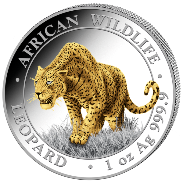 100 Sh Leopard Goldveredelt 2023