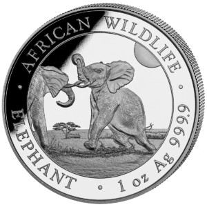 100 Sh Elefant 1 oz Ag 2024