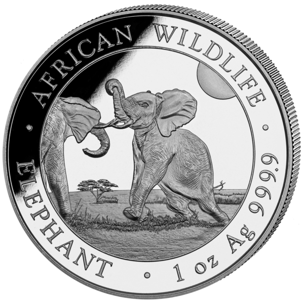 100 Sh Elefant 1 oz Ag 2024