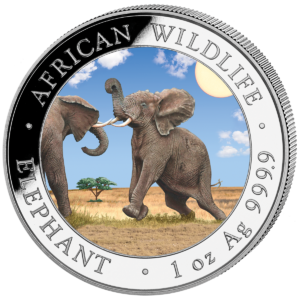 100 Sh Elefant Farbapplikation 2024