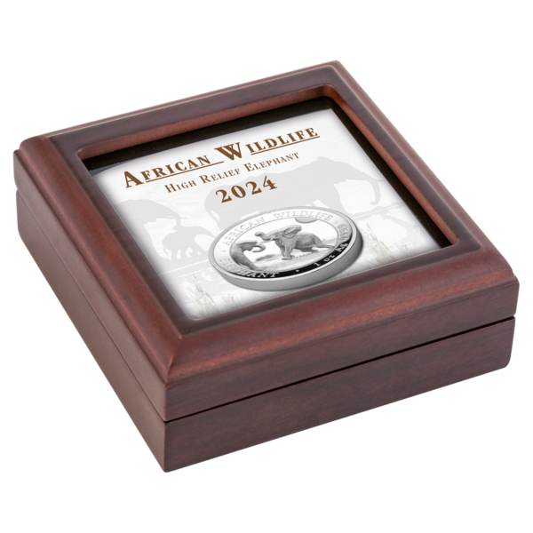100 Sh Elefant High Relief 2024 – Bild 4