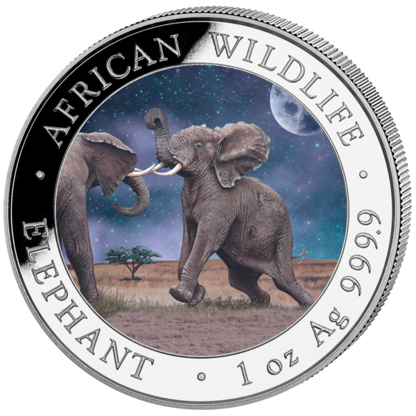 2 x100 Sh Elefant "Tag & Nacht" 2024 – Bild 3
