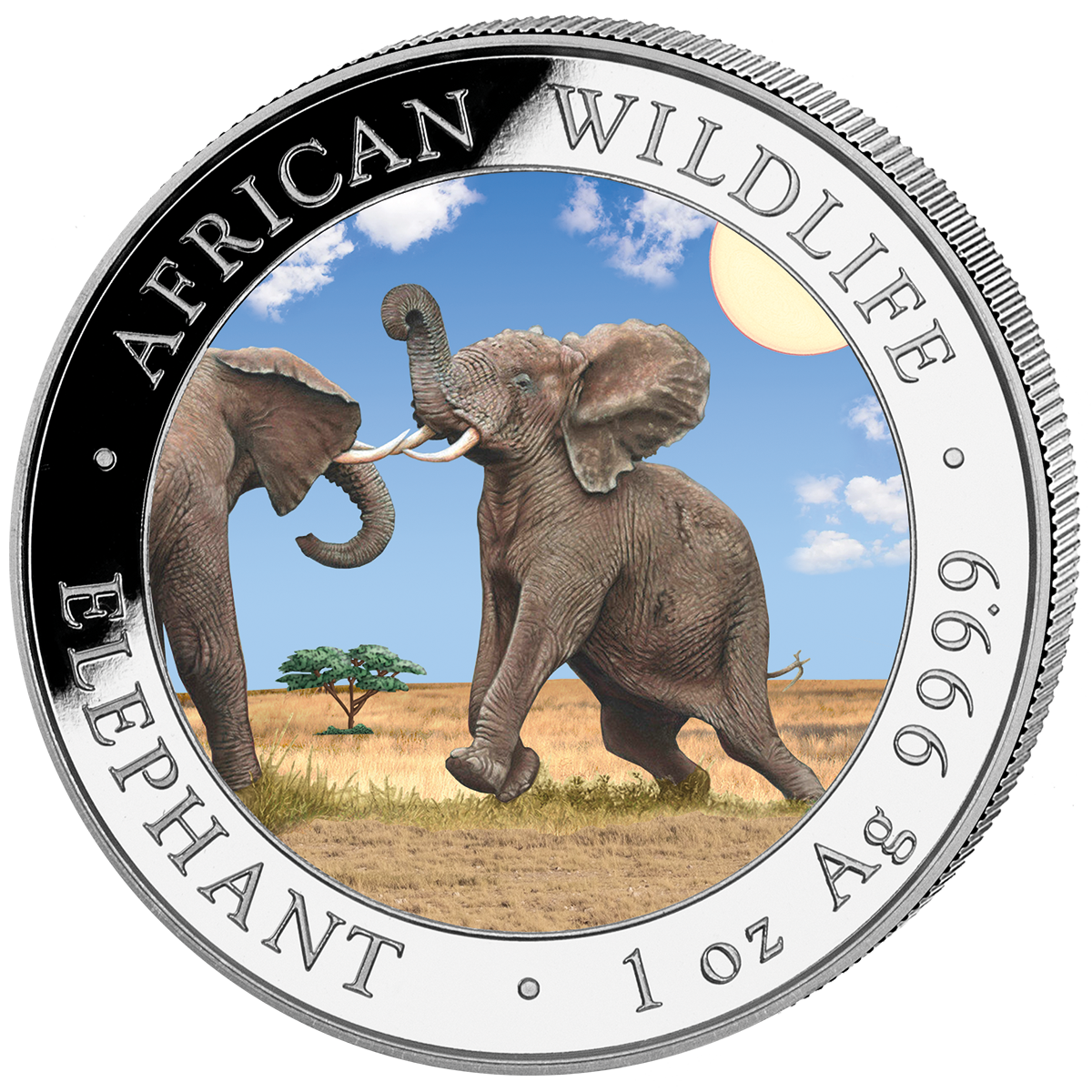 2 x100 Sh Elefant "Tag & Nacht" 2024 – Bild 2