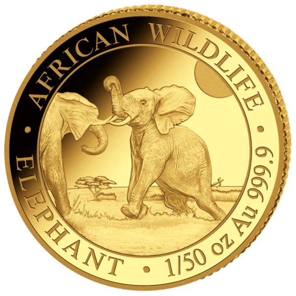 20 Sh Elefant 1/50 oz Au 2024