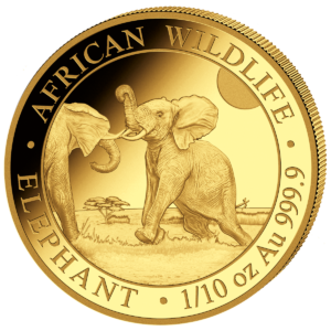 100 Sh Elefant 1/10 oz Au 2024