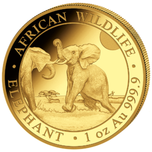 1000 Sh Elefant 1 oz Au 2024