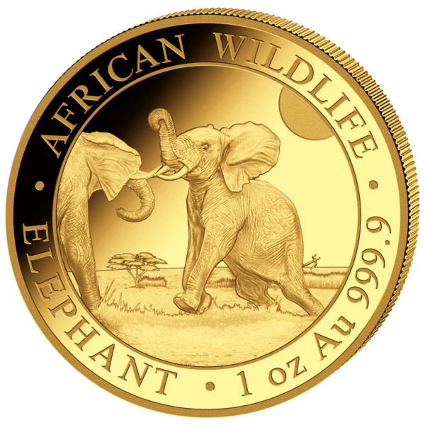 1000 Sh Elefant 1 oz Au 2024